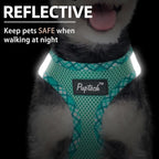 PUPTECK Dog Harness and Leash Set for Small Medium Dogs No Pull Step-in Soft Mesh Puppy Cat Vest Harnesses Reflective at Night, Green L