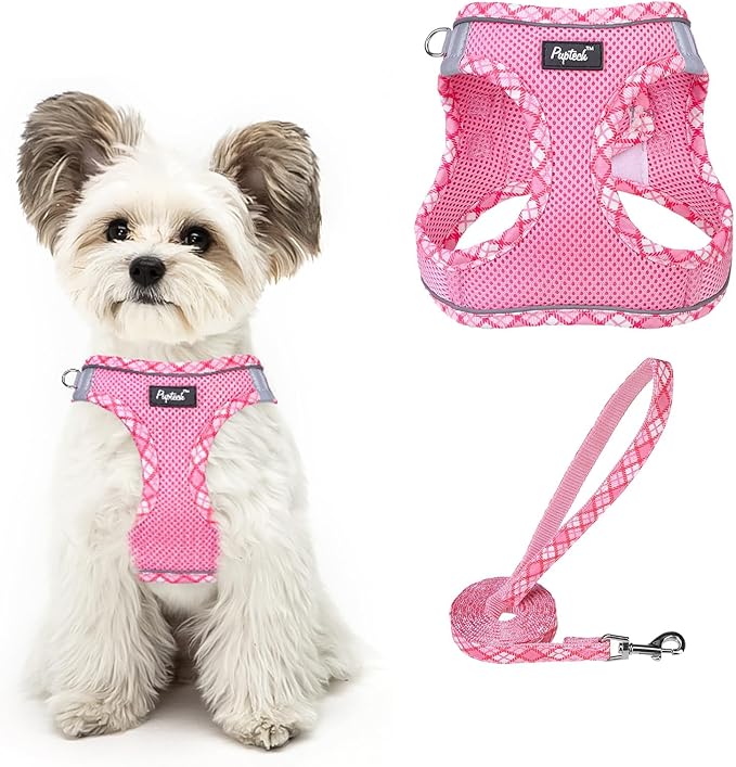 PUPTECK Dog Harness and Leash Set for Small Medium Dogs No Pull Step-in Soft Mesh Puppy Cat Vest Harnesses Reflective at Night, Upgraded New Pink L