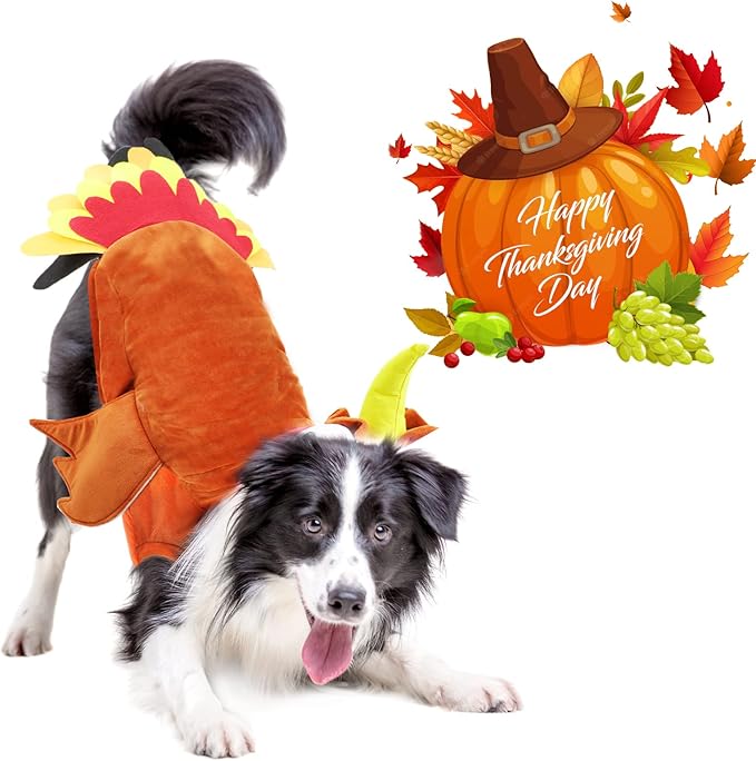 BWOGUE Turkey Dog Costume Thanksgiving Apparel Pet Costume for Dogs and Cats