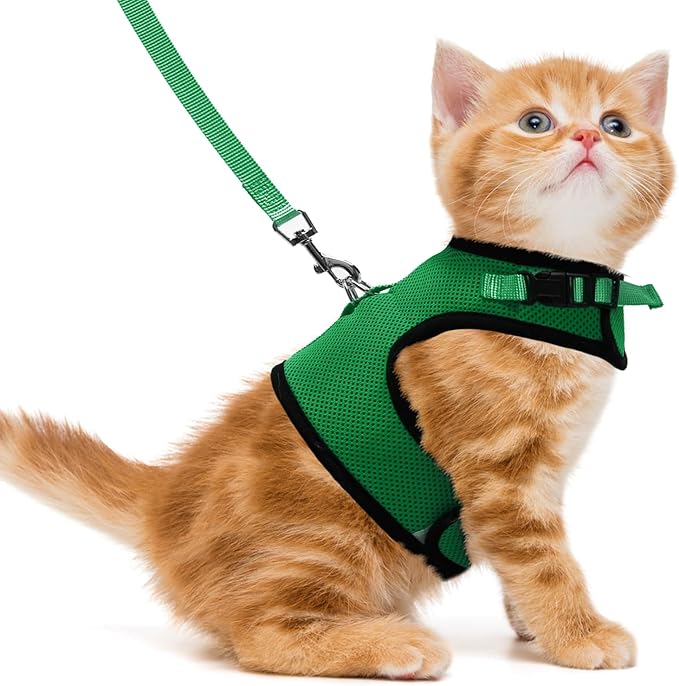 PUPTECK Soft Mesh Cat Vest Harness and Leash Set Puppy Padded Pet Harnesses Escape Proof for Cats Small Dogs Rabbits Bunny