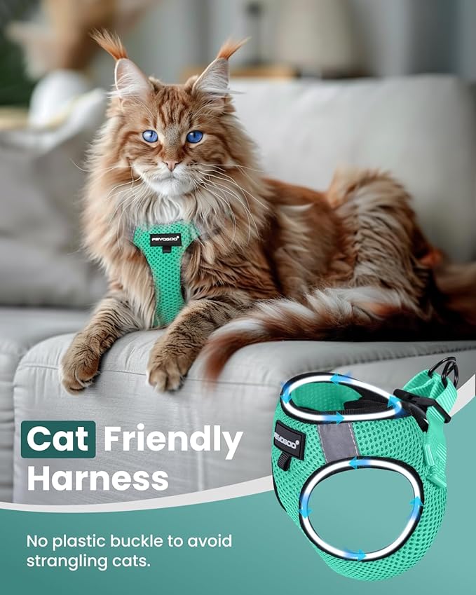 FAYOGOO Escape Proof Cat Harness and Leash Set for Walking, Secure-Fit Step-in Cat Vest Harness, Soft & Lightweight for Kittens and Large Cats