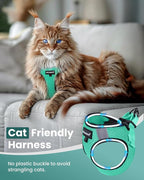 FAYOGOO Escape Proof Cat Harness and Leash Set for Walking, Secure-Fit Step-in Cat Vest Harness, Soft & Lightweight for Kittens and Large Cats