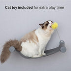 SVD.PET Wall Mounted Cat Hammock with Toy, Easy-to-insall Cat Wall Shelf with Soft Pad on This Premium Kitty Furniture, Modern Design. Easily Supports up to 40 lbs (Easy-Install, Dark Grey)