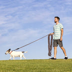Long Dog Leash for Training 50Ft-Reflective Nylon Rope with Swivel Hook-Recall Agility Lead for Large Small Medium Dogs Outside Walking Hiking-Brown