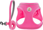 Hipubby Dog Harness and Leash Set, No Pull Soft Mesh Puppy Harness for Small Medium Dogs, Cats - Step in Reflective Breathable Lightweight Vest Harness for Walking, Training - Rose Red, XXS