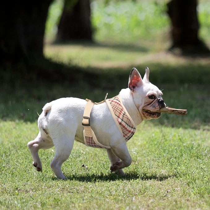 PUPTECK Soft Mesh Dog Harness and Leash Set Pet Puppy Cat Comfort Padded Vest No Pull Harnesses, Khaki, XL