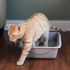 Petmate Litter Pan, Blue/Gray, Small, Made in USA