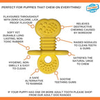 Nylabone Rubber Teether Puppy Chew Toy, Teething Toys for Puppies, Vanilla Flavor, Small - Up to 25 lbs, 1 Count