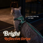 Dooradar Cat Harness and Leash Set, Escape Proof Safe Adjustable Kitten Vest Harnesses for Walking, Easy Control Soft Breathable Mesh Jacket with Reflective Strips for Cats, Green, S
