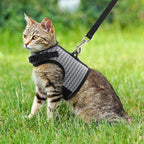 PUPTECK Soft Mesh Cat Vest Harness and Leash Set Puppy Padded Pet Harnesses Escape Proof for Cats Small Dogs