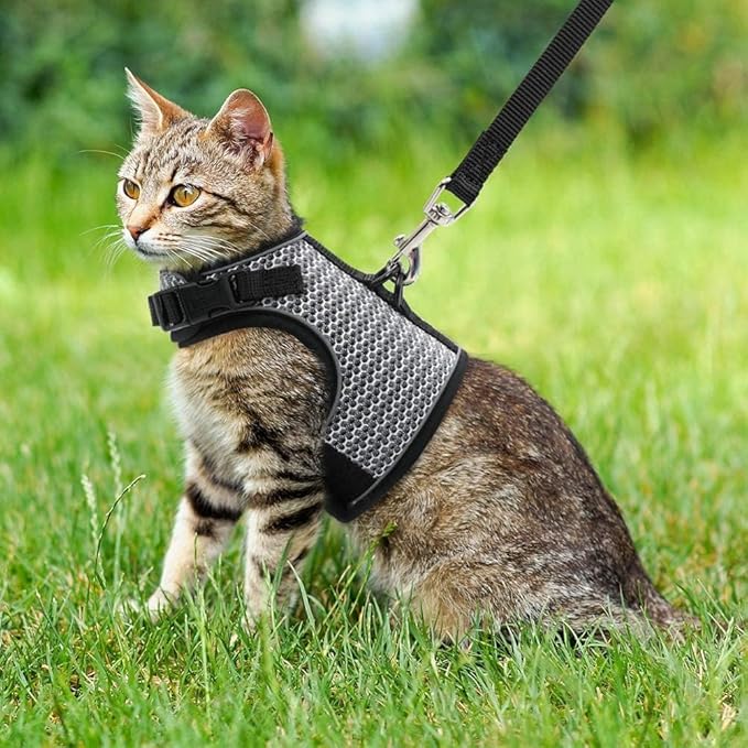PUPTECK Soft Mesh Cat Vest Harness and Leash Set Puppy Padded Pet Harnesses Escape Proof for Cats Small Dogs