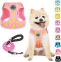 BEAUTYZOO Dog Harness Small Sized and Leash Set, Step-in Soft Padded Mesh Puppy Vest, Reflective Dog Harness No Pull No Choke, Breathable Easy Walking Vest Harnesses for Girl Boy Pets,Pink Ducks XS