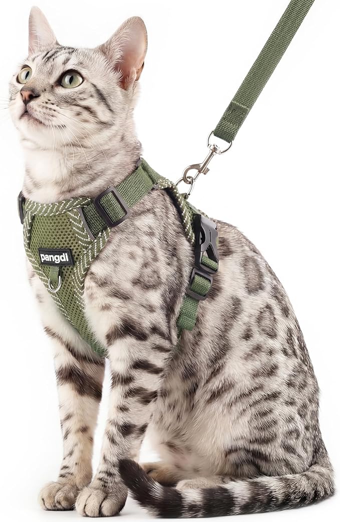 Cat Harness and Leash Escape Proof Extra Large Kitten Harness Maine Coon Cat Vest for Walking Travel, Dark Green, XXL