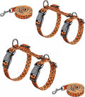 Halypet 2-Pack Cat Harness and Leash Set, Escape Proof 3-in-1 Adjustable Harness for Cats, Soft Lightweight, Easy On & Control for Walking, Travel & Outdoor Use, Vibrant Leopard Orange, Small