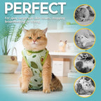 Avont Cat Recovery Suit - Kitten Onesie for Cats After Surgery, Cone of Shame Alternative Surgical Spay Suit for Female Cat, Post-Surgery or Skin Diseases Protection -Avocado(L)
