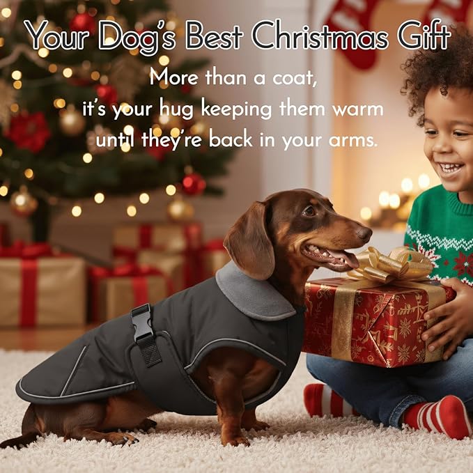 Waterproof & Windproof Dachshund Coat with Adjustable Bands, Thick Weiner Vest Raincoat for Large Sausage Dog, Weenie Winter Puffer Coat, Outdoor Snowsuit for Dachshunds, Male Female Dog(Black, L)