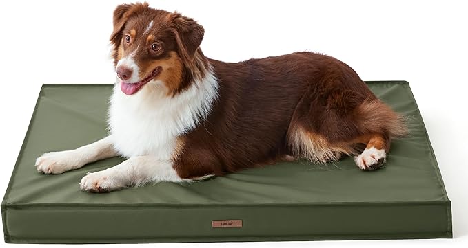 LE SURE Outdoor Waterproof Dog Bed Medium Size Dogs, Orthopedic Egg Crate Foam Pet Bed with Oxford Fabric Surface and Removable Washable Cover, Pet Mat 30''x20'', Green