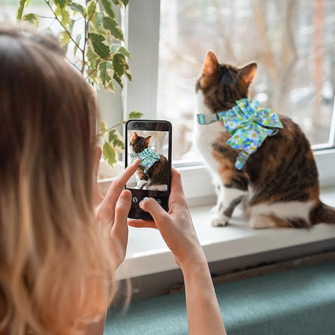 PAWCHIE Cat Harness and Leash Set with Bow Knot,Cats Escape Proof-Adjustable Daisy Floral Kitten Harness Soft Outdoor Walking Travel Pet Harness,Puppy Harness for Girl Cats Bunny Rabbit Small Dog,Blue