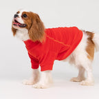 Fitwarm 3 Pack Classic Fleece Dog Sweater, Winter Clothes for Small Dogs Boy Girl, Turtleneck Dog Sweatshirt, Pet Apparel, Orange Red, Royal Blue, Neon Yellow, XXL