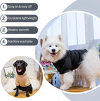 Personalized Dog Hoodie with Name/Text, Custom Embroidered or Printed Dog Sweater, Warm Winter Hoodie for Puppies, Cute Birthday Outfit, Unique Gift for Pet Lovers, A2