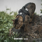 OneTigris Cat Harness and Leash - Escape Proof Soft Adjustable Kitten Harness, Breathable, Comfortable, Durable Water-Resistant Tactical Vest with Reflective Strips and Pocket for Cat Tracker