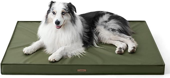 LE SURE Outdoor Waterproof Dog Beds Large Sized Dog, Orthopedic Egg Crate Foam Pet Bed with Oxford Fabric Surface and Removable Washable Cover, Pet Mat 36''x27'', Green