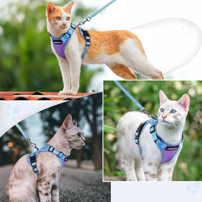 rabbitgoo Cat Harness and Leash Set, Escape Proof Soft Adjustable Vest Harnesses for Outdoor Walking, Easy Control Breathable Kitten Jacket with Reflective Strips, Purple & Blue, XXS