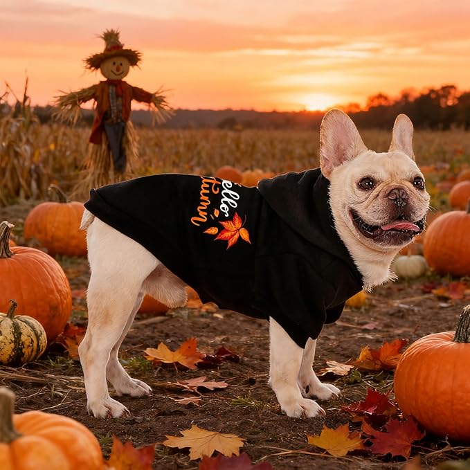 EXPAWLORER Fall Dog Hoodie-Soft and Warm Dog Sweaters, Pet Clothes Autumn Winter Coat Sweatshirt with Autumn Maple Leaf Theme Print for Puppy,Cat, Small Medium Large Dogs