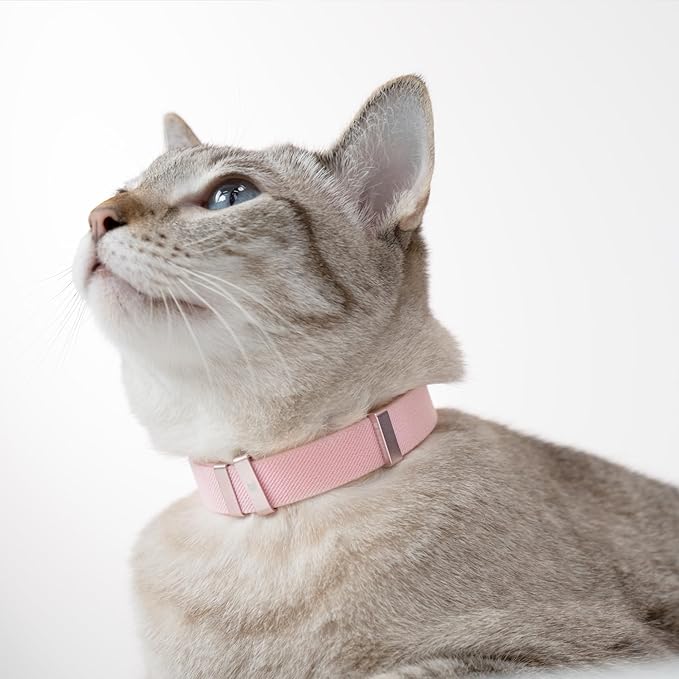 Safety Cat Collar - U.S. IDA Gold Awarding Design, Stretch Elastic Quick Release, Non Breakaway - Light Weight for Kitten, Neck Fit 5.9'-11.8' for All Small Large Cat,S(Monet Purple)