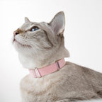 Safety Cat Collar - U.S. IDA Gold Award Design, Stretchy Elastic Quick Release Non Breakaway Cat Collar Light Weight for Kitten All Small Medium Large Cats (Olive, M (7.8-15.7 inch))