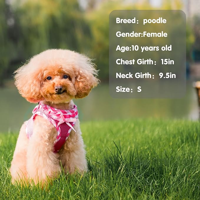 PUPTECK Dog Harness for Puppy and Small Sized Dogs, Step-in No Pull Soft Mesh Vest Harness for Cats Small Pets Walking, Fuschia, New S