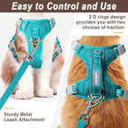 Cat Harness and Leash Set for Walking Escape Proof for Small Large cat Kitten Harness with ID tag Pocket (Blue,XXS)