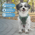 Best Pet Supplies - All Weather Mesh/Plush, Reflective, No Pull Harness for Small, Medium Dogs, Cats - Secure with Hook & Loop Fastener, Buckle, Double D-Rings - Moss Green, M