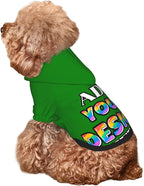 Personalized Dog Hoodie Custom Hooded Pet Warm Pullover Sweatshirt with Name Number Clothes for Chihuahua Pupppy Kitten Hoodies Puppy Soft Sweater Winter Small Dogs Cats, Green, L,