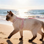 EXPAWLORER Cat Harness and Leash Set - Escape Proof Adjustable Cat Harness, H-shped Comfortable Soft Lightweight Kitten Harness for Outdoor Walking, for Small Medium Cats,Pink Rhinestones S