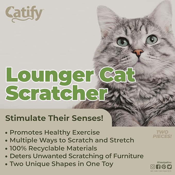 Best Pet Supplies Catify Cat Scratcher, Fun Interactive Scratchers, Posts, Poles, Claw Safe, Furniture Saver Indoor Play Support Natural Cat Behaviors Heavy Duty - Lounger I