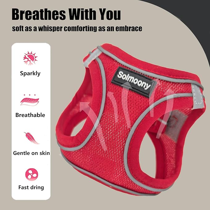 Solmoony Sparkly XXXS Dog Harness and Leash Set, Step in Soft Light Puppy Vest, Breathable Reflective Pet Harness for Walking, Puppy Harness for Small Dogs Cats (Red, XXXS)