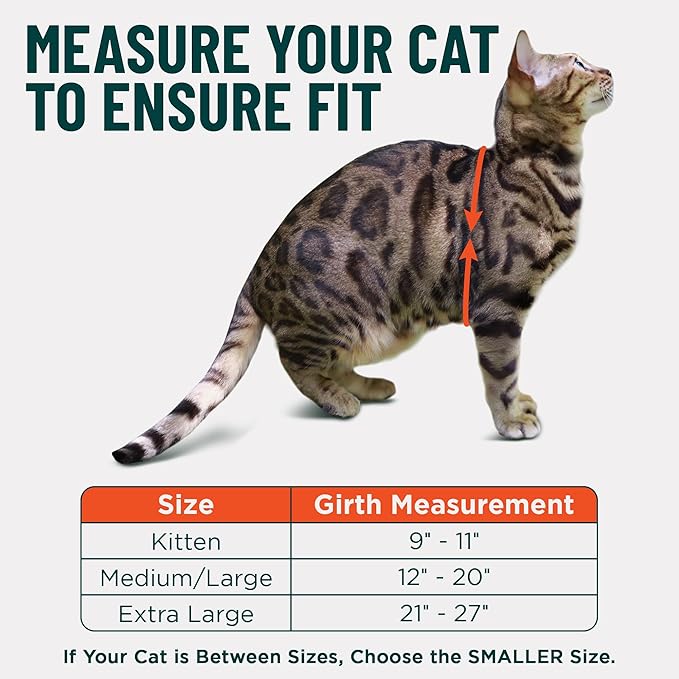 Houdini™ Escape Proof Cat Harness and Leash Set by OutdoorBengal – Turquoise, Medium Cat Harness for Walking
