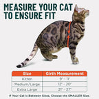 Houdini™ Escape Proof Cat Harness and Leash Set by OutdoorBengal – Red, Large Cat Harness for Walking Big Cats