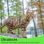PUPTECK Adjustable Cat Harness and Leash Set Escape Proof Kitten Strap Collar for Walking Travel, Green