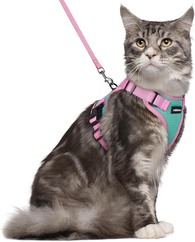 rabbitgoo Cat Harness and Leash Set, Escape Proof Soft Adjustable Vest Harnesses for Outdoor Walking, Easy Control Breathable Kitten Jacket with Reflective Strips, Green & Pink, M