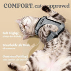 rabbitgoo Cat Harness and Leash for Walking, Escape Proof Soft Adjustable Vest Harnesses for Cats, Easy Control Breathable Reflective Strips Jacket, Grey, XXS