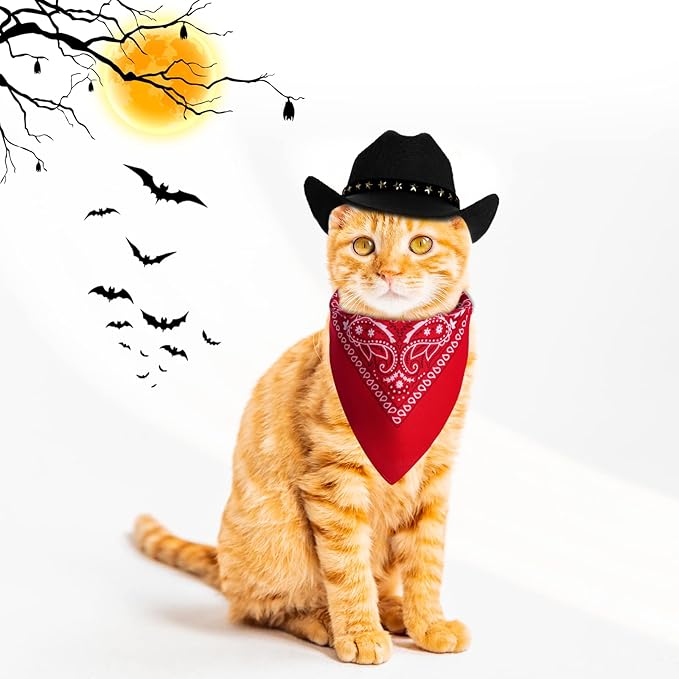 choyaxo Pet Cowboy Costume Halloween Costumes for Dogs Cat Cowboy Hat with Bandana Scarf- Black, Small