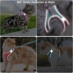 JSXD Cat Harness,Leash and Collar Set,Escape Proof Kitten Vest Harness for Walking,Easy Control Night Safe Pet Harness with Reflective Strap and Bell for Small Large Kitten,Fit for Puppy,Rabbit