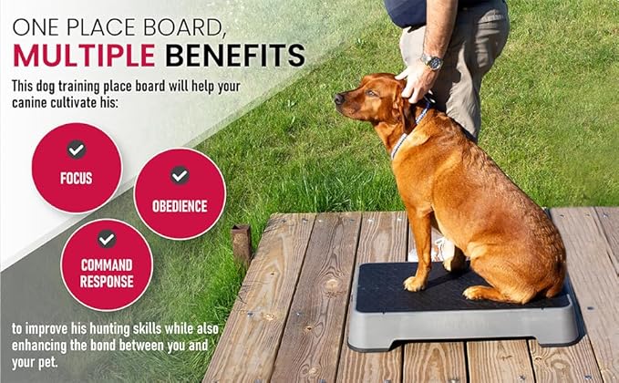 HUNTMARK Dog Training Place Board - Durable Hunting Dog Training Platform - Non-Skid Surface and Nonslip Feet - Stackable, Portable Agility Platform - Modern Puppy Trainer Equipment (Gray)