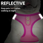 PUPTECK Dog Harness and Leash Set for Small Medium Dogs No Pull Step-in Soft Mesh Puppy Cat Vest Harnesses Reflective at Night, Denim Pink L