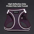 Solmoony Sparkly XXXS Dog Harness and Leash Set, Step in Soft Light Puppy Vest, Breathable Reflective Pet Harness for Walking, Puppy Harness for Small Dogs Cats (Red, XXXS)