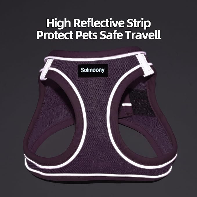 Solmoony Sparkly XXXS Dog Harness and Leash Set, Step in Soft Light Puppy Vest, Breathable Reflective Pet Harness for Walking, Puppy Harness for Small Dogs Cats (Red, XXXS)
