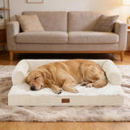 Orthopedic Dog Beds for Large Sized Dogs, Waterproof Egg Crate Foam Medium Dog Couch Beds for Crate 35x22Inch, Washable Pet Beds with Removable Cover and Nonskid Bottom, Beige