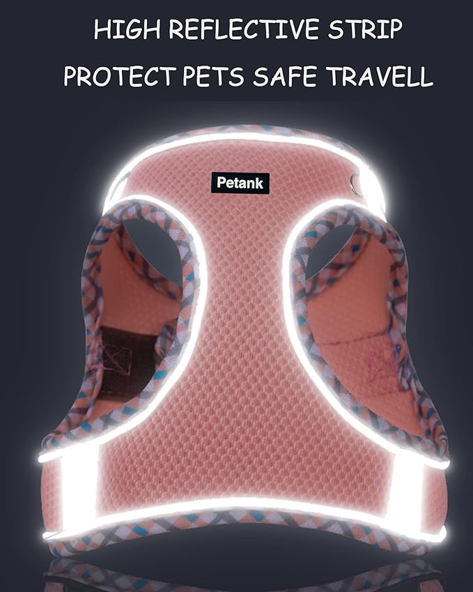 Petank Dog Harness for Small Medium Dogs No Pull, Puppy Harness and Leash Set, Step in Dog Harness for Walking, Running, Training, Small Dog Vest(Bule, XXS)